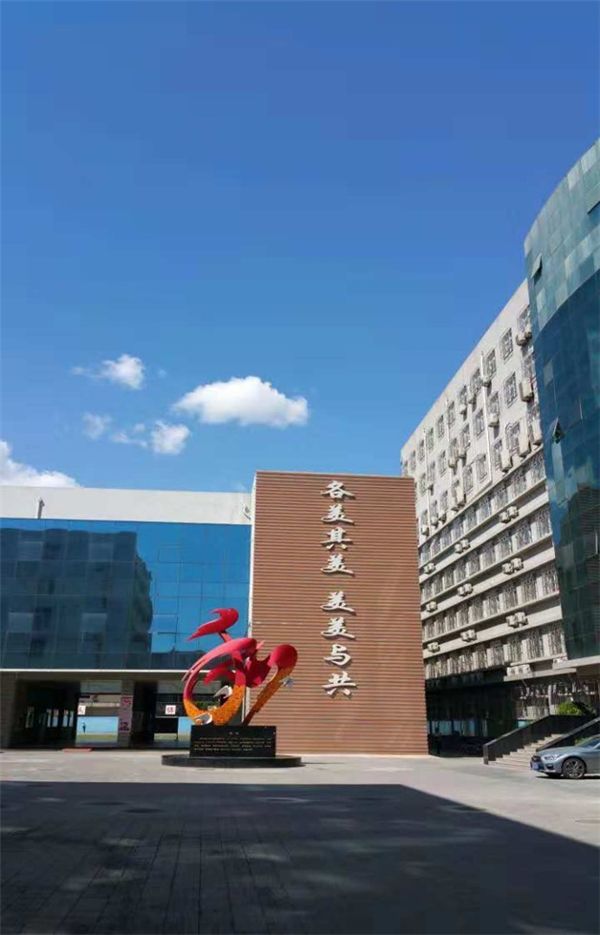 图片7